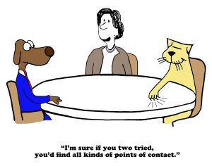 Connecting Requires Finding Common Ground cartoon